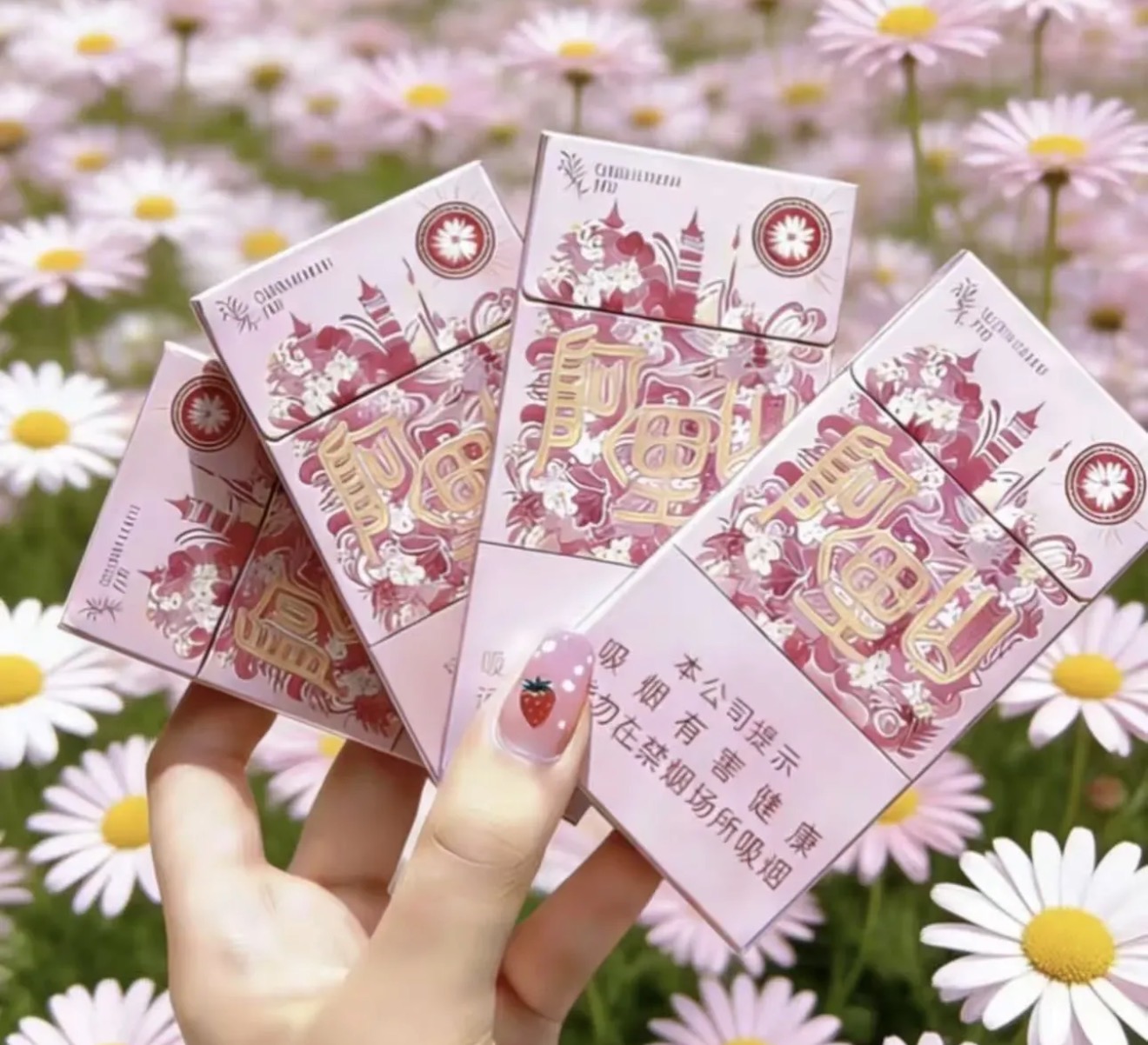 【散拼】阿里山系列-小白Blog